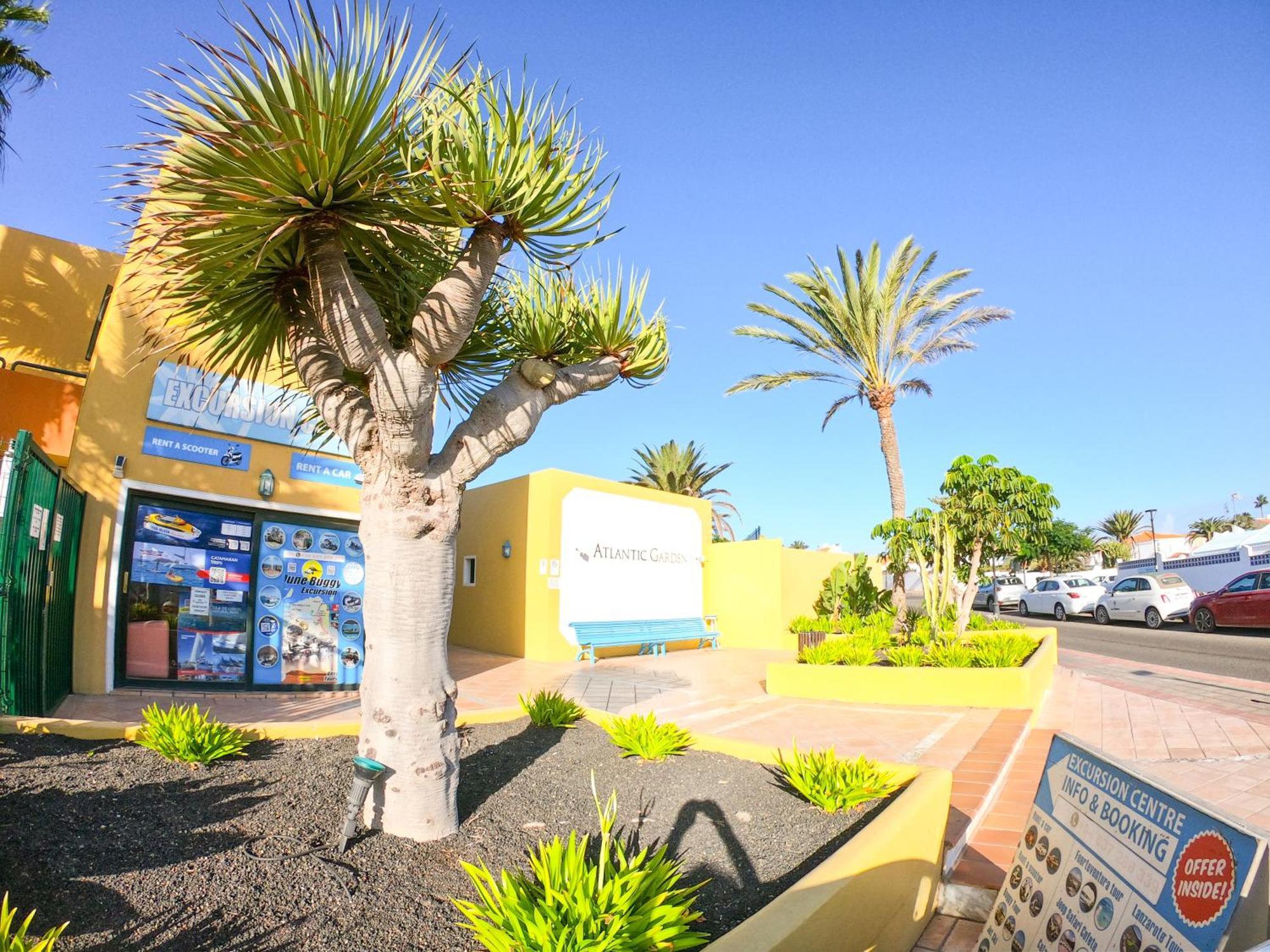 Drago 1 Atlantic Garden Apartment コラレホ エクステリア 写真